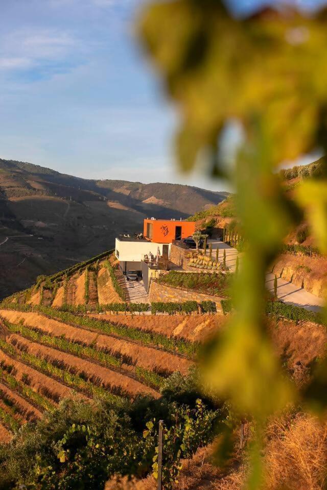 Bed and Breakfast Quinta Vale De Lobos Folgosa  Exteriér fotografie