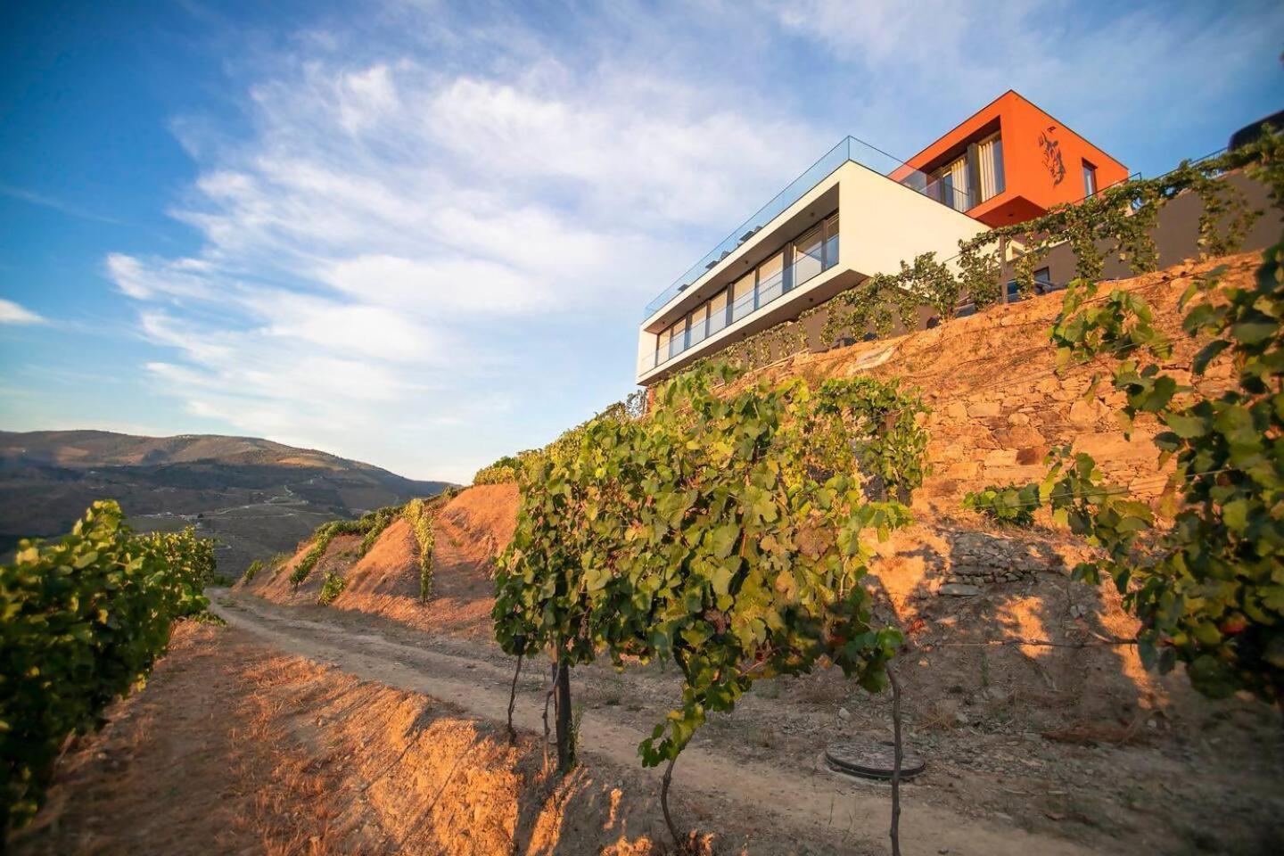 Bed and Breakfast Quinta Vale De Lobos Folgosa  Exteriér fotografie